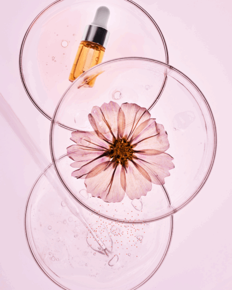 Elixirs spagiriques